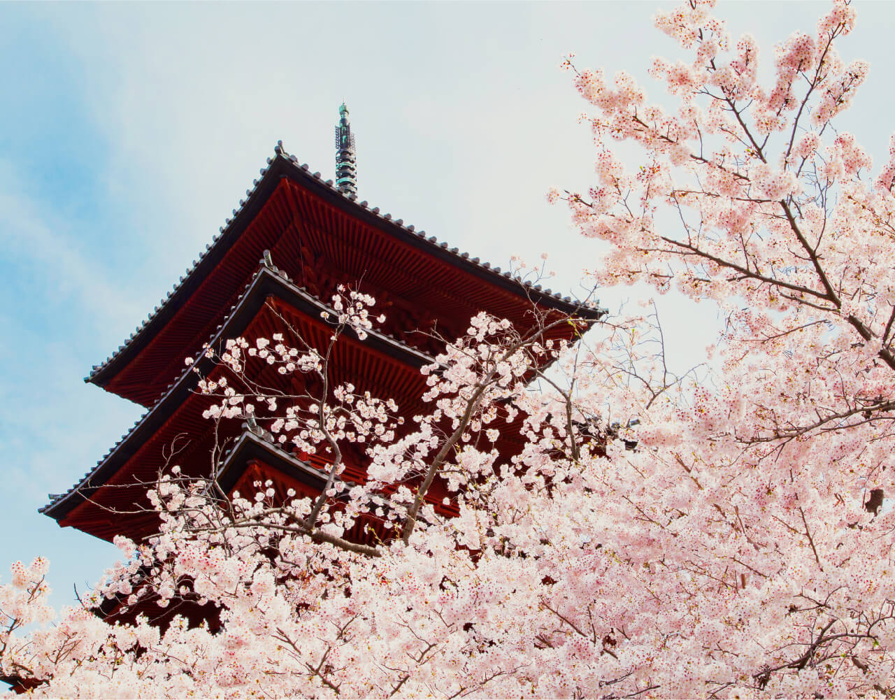 池上本門寺（徒歩15分／約1,200m）