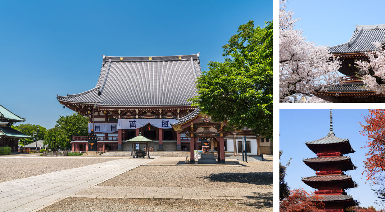 池上本門寺（徒歩15分 / 約1,200m）