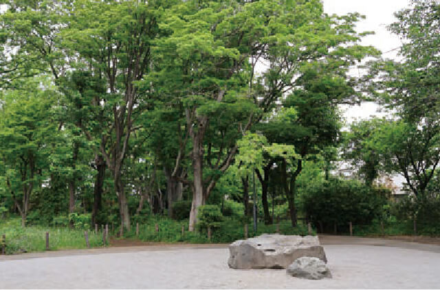 千鳥いこい公園（徒歩3分 / 約180m）