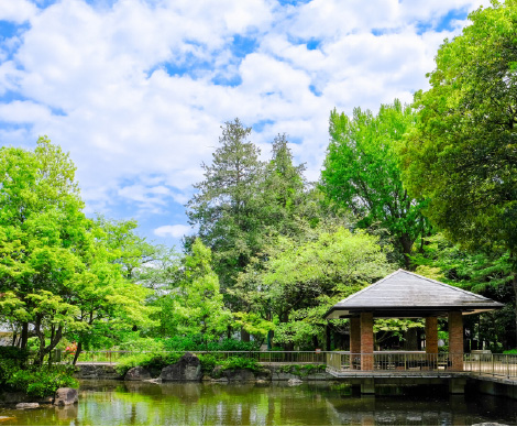 蚕糸の森公園(徒歩8分／約600m)