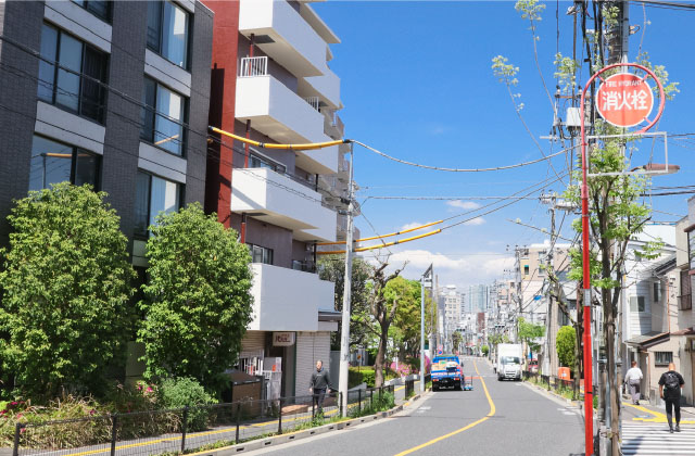 ゼームス坂通りのエンジュ並木